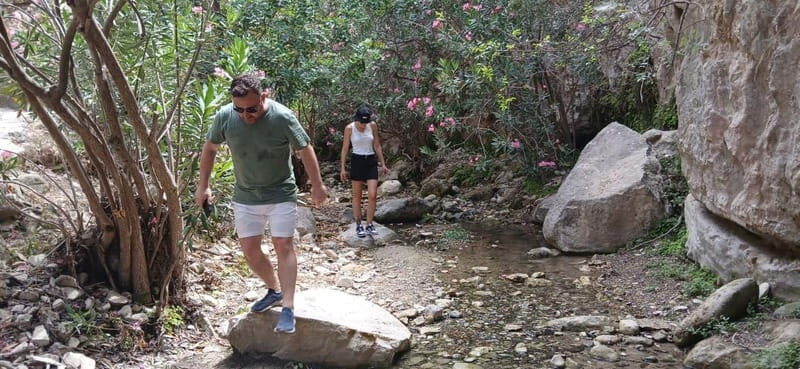 Paphos: Avakas Gorge & Turtle Bay Jeep Tour with Donkey Farm - Is This Tour For You?