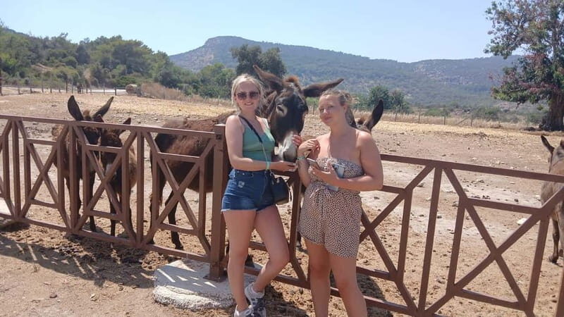 Paphos: Avakas Gorge & Turtle Bay Jeep Tour with Donkey Farm - Final Thoughts