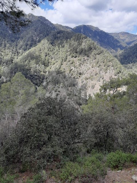 Paphos Cyprus Troodos Jeep safari in English in French too - Who Is This Tour Best For?