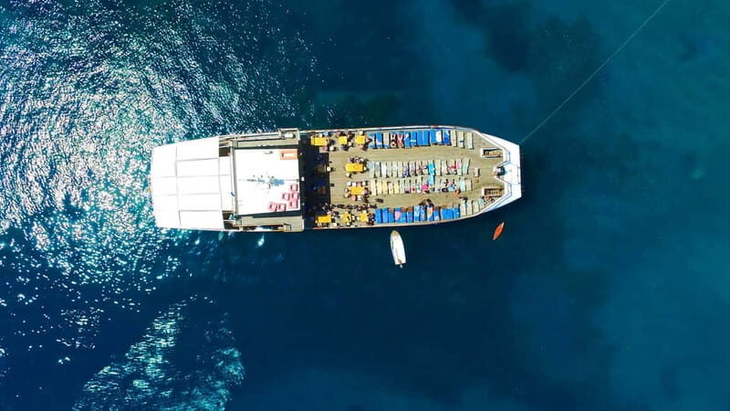 Paphos: Half-Day BBQ Cruise with Open Bar and Snorkeling - Final Thoughts