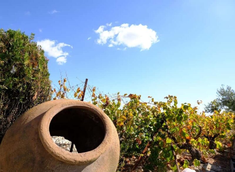 Paphos Half Day-Free Wine Tasting- Max 7p Group -Full A/C - Final Stops