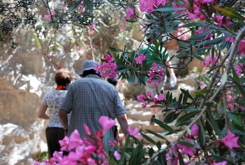 Paphos: Land Rover Jeep Safari Coastal Tour and Blue Lagoon - Baths of Aphrodite: Legends, Photo Stops, and Quick Walking Time