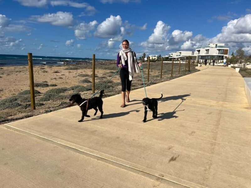 Paphos: Lighthouse Area Beach Walk with Rescue Dogs - An Honest Look at the Experience
