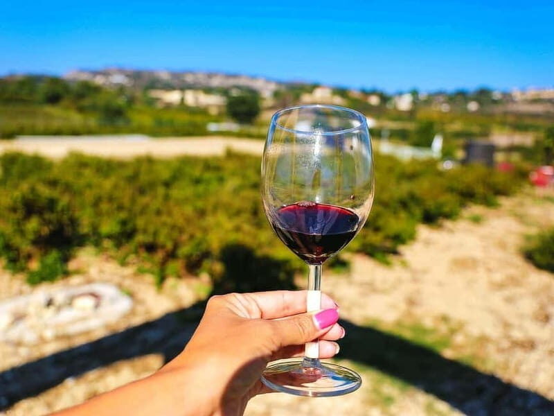 Paphos: Local Wineries Tour with Wine Tastings - Who Is This Tour Best Suited For?