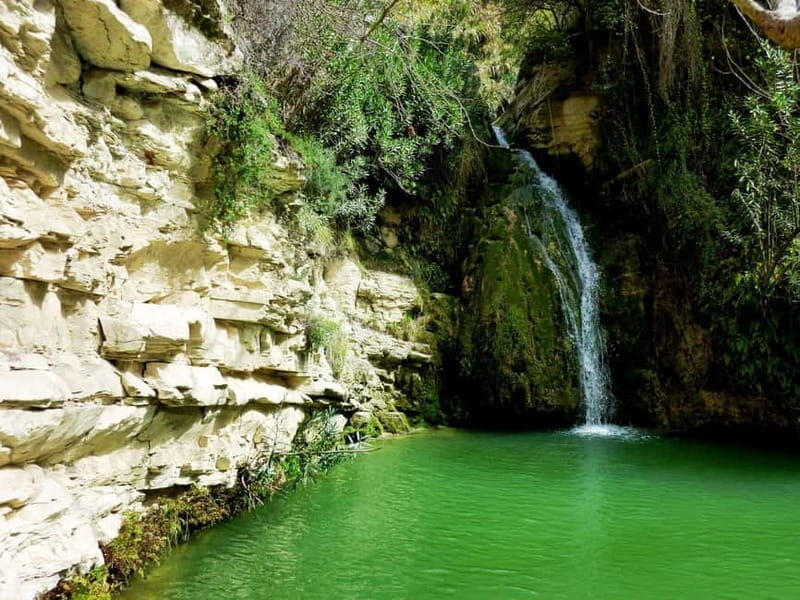 Paphos: Private Jeep Bath of Aphrodite including Waterfalls - What We Love and What to Consider