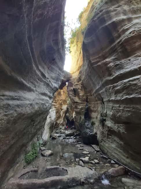 Paphos Private Tour: Akamas, Avakas, Turtle Bay & Winery - Key Points