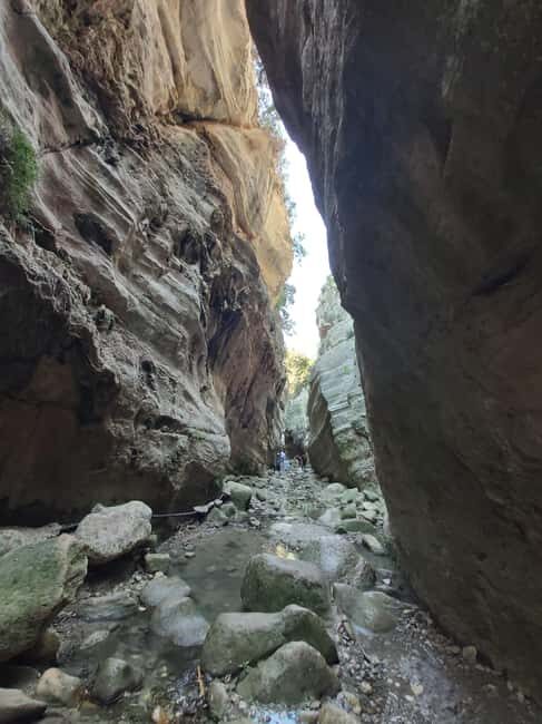 Paphos Private Tour: Akamas, Avakas, Turtle Bay & Winery - FAQ