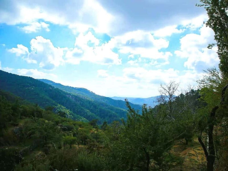 Paphos: Tour to Troodos, Kykkos Monastery, Omodos and Winery - Transportation and Group Size