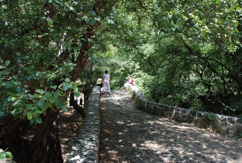 Paphos: Troodos-Kykkos Land Rover Treasure Jeep Safari - The Full Experience: What to Expect from Start to Finish