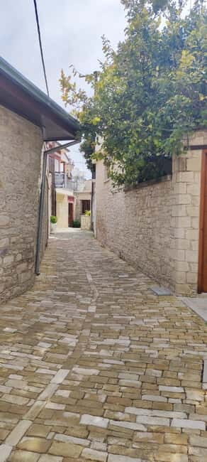 Paphos: Troodos Mountains Villages Tour with Wine Tasting - Exploring the Troodos Mountains and Its Villages