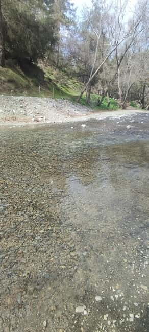 Paphos: Troodos Mountains Villages Tour with Wine Tasting - Traditional Cypriot Lunch in Omodos