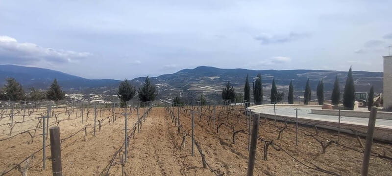 Paphos: Troodos Mountains Villages Tour with Wine Tasting - Final Thoughts
