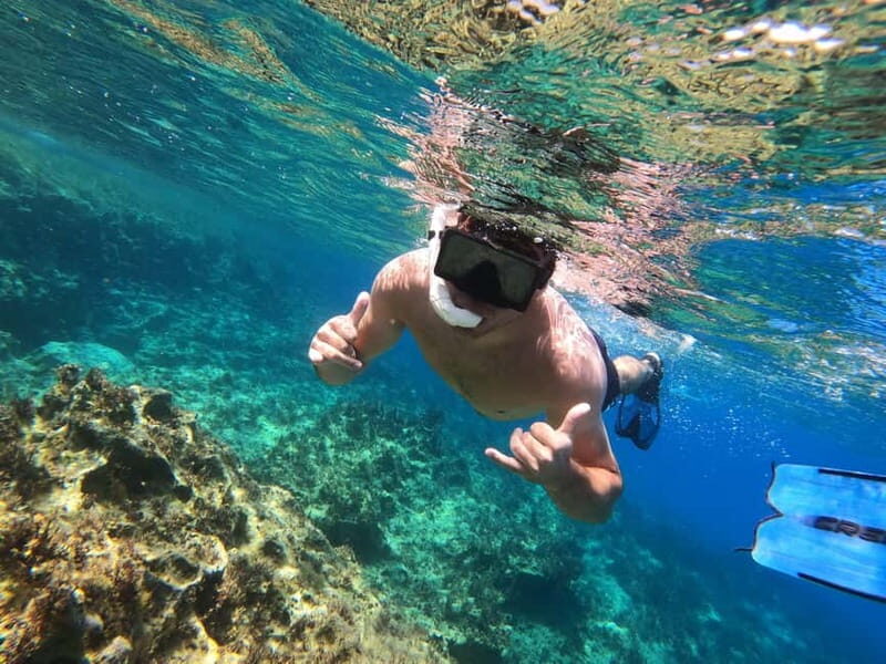 Paphos: Turtle-Watching Snorkeling Sea Scooter Trip - What to Expect from the Tour