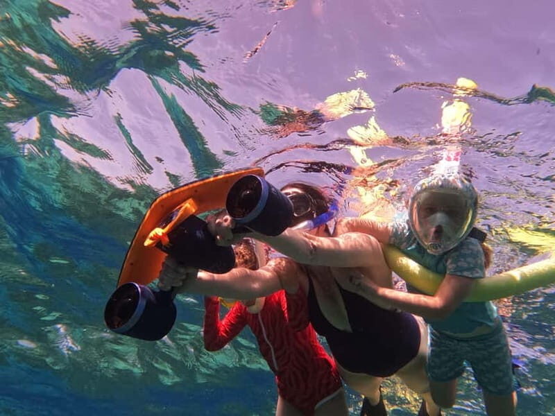 Paphos: Turtle-Watching Snorkeling Sea Scooter Trip - Considerations and Downsides