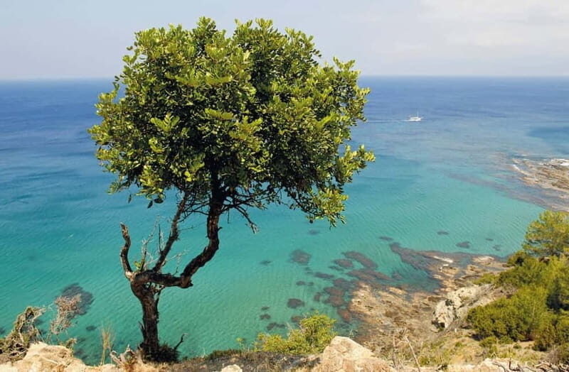 Paphos: Zoo Visit and Blue Lagoon Cruise with Guide & Lunch - Final Thoughts: Who Should Book This Tour?