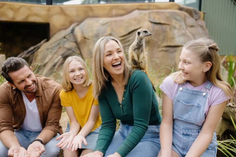 Paradise Country: Ultimate Aussie Farm Experience - What Is Paradise Country?