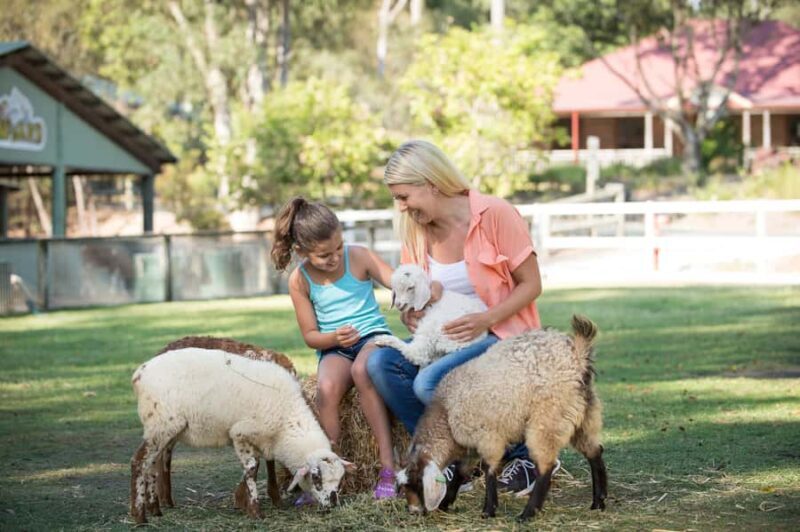 Paradise Country: Ultimate Aussie Farm Experience - Pricing and Value