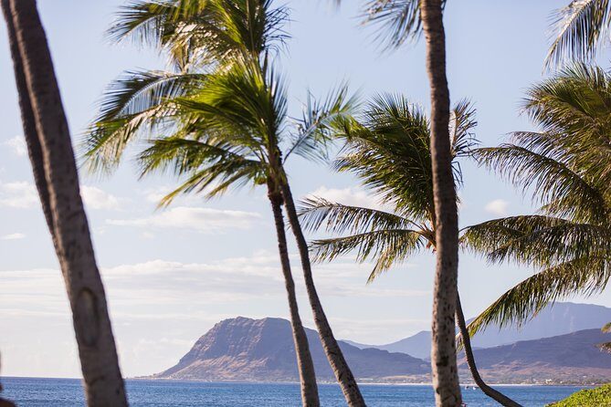 Paradise Cove Luau - The Entertainment and Cultural Show