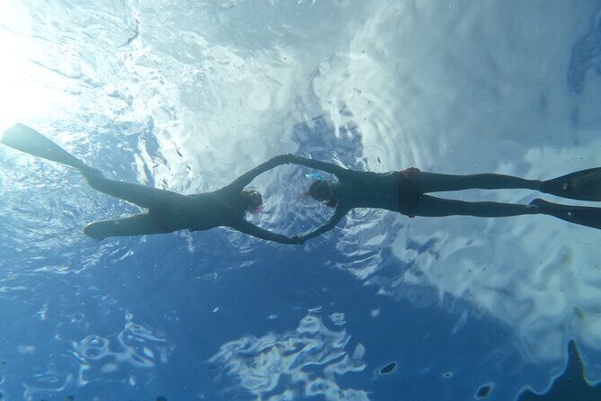 Paradise Honu Snorkeling Tour - The Practicalities: Price, Duration, and What It Means for You