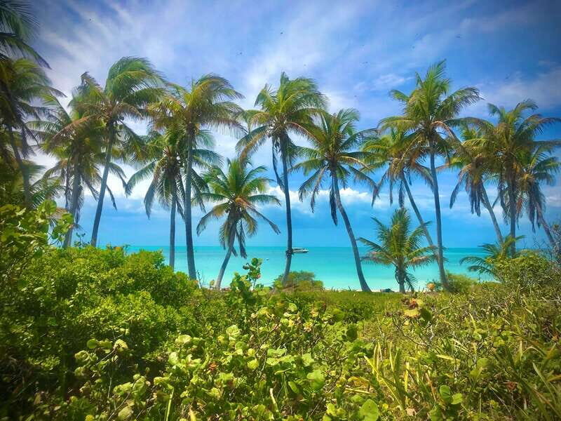 PARADISE ISLAND- ISLA CONTOY AND ISLA MUJERES - The Day in Detail: What to Expect on the Tour