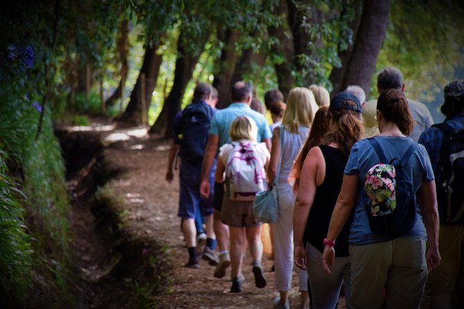 Paradise Valley Beauty Walk - Who Is This Tour Best Suited For?