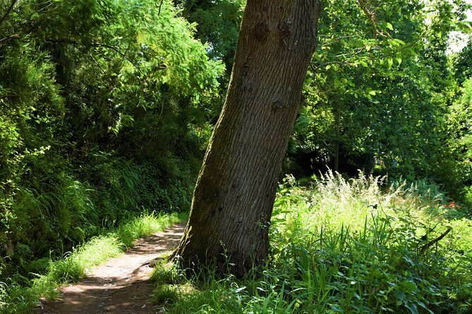 Paradise Valley Beauty Walk - The Sum Up