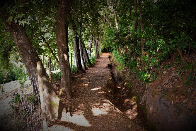 Paradise Valley Beauty Walk - FAQ