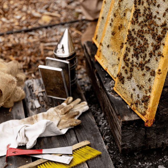 Paradise Valley: Bee Adventure Tour! - The Educational Value and Guide Expertise