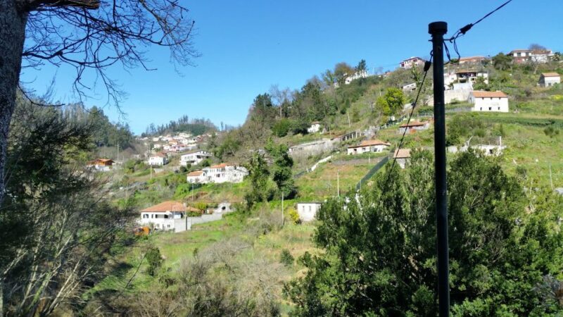 Paradise Valley half-day morning walk. - Who Would Love This Tour?