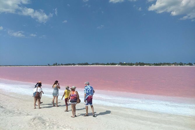 Paradisiacal tour: Las Coloradas Pink Lake and Rio Lagartos with Lunch included. - Analyzing the Value