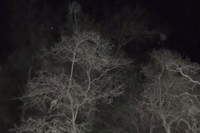 Paranormal Investigation History & Ghost Tour Old Town San Diego - Who Should Consider This Tour?