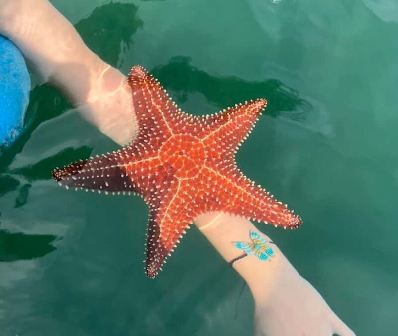 Paraty: A Private Speedboat Experience in Mamangua - FAQs about the Mamangua Private Speedboat Tour