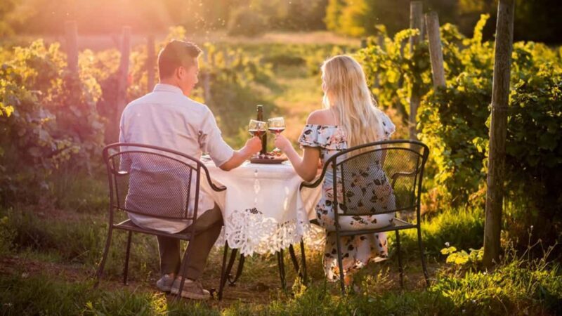 Parghelia: Romantic sunset tasting in the vineyard with music - What Makes This Experience Special?