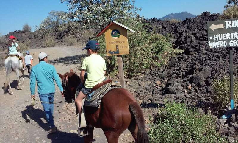 Paricutin Volcano Crater Special Tour - Key Points