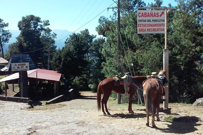 Paricutin Volcano Tour (Morelia) - Key Points