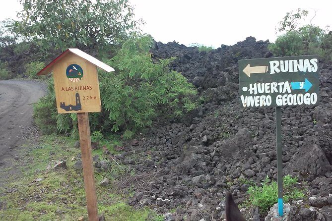 Paricutin Volcano Tour (Morelia) - FAQ