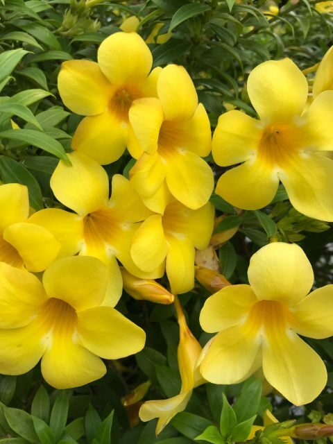 Paris 1h30-Hour Perfume Walking Tour - Who Will Love This Tour?