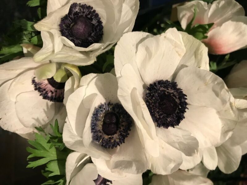 Paris 1h30-Hour Perfume Walking Tour - Final Thoughts