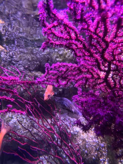 Paris: Aquarium de Paris, A Dive into the Deep Blue Wonder - How Accessible and Convenient Is It?