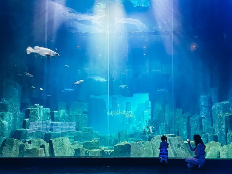 Paris: Aquarium de Paris Entrance Ticket - Key Points