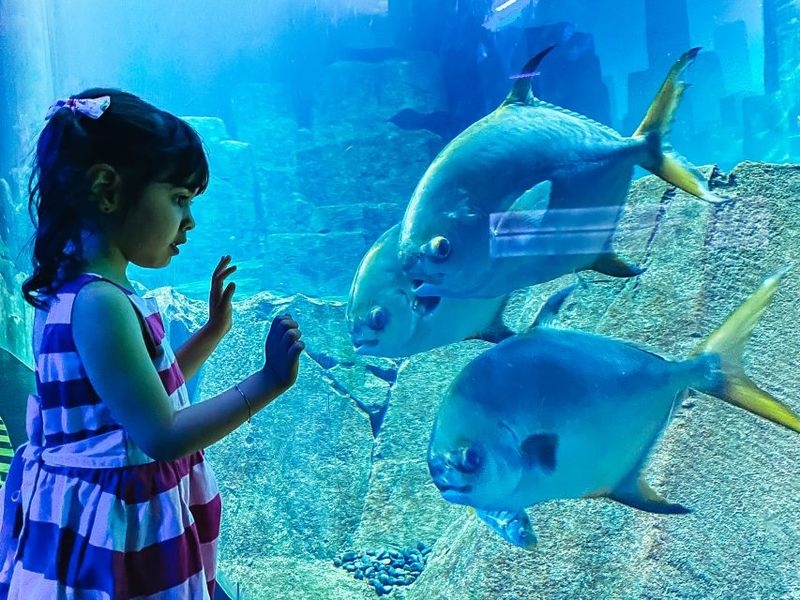 Paris: Aquarium de Paris Entrance Ticket - Workshops and live shows: included and worth planning around