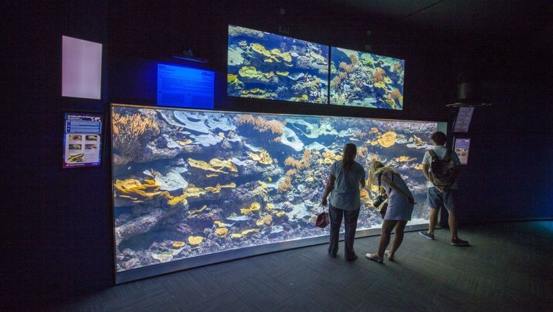 Paris: Aquarium de Paris Entrance Ticket - How long will it take? When 1 to 2 hours is enough