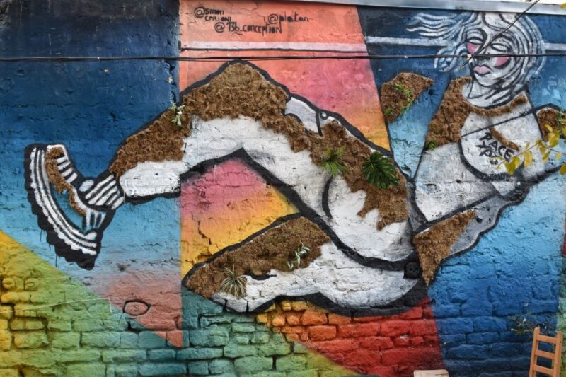 Paris: Belleville Street Art Tour with an Artist - A Genuine Look at Paris’s Street Art Scene