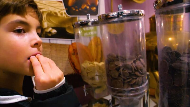 Paris: Choco-Story Museum Entry and Seine River Cruise Combo - Key Points