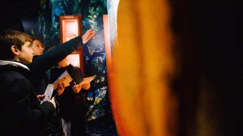 Paris: Choco-Story Museum Entry and Seine River Cruise Combo - FAQ