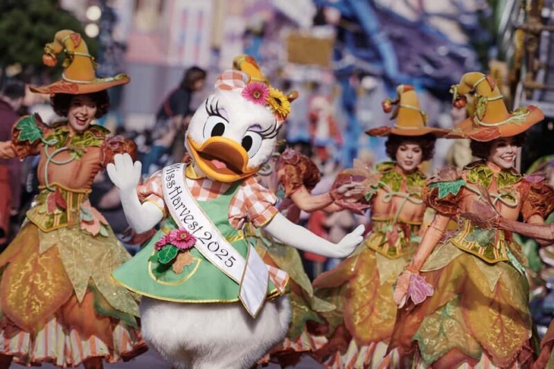 Paris: Disneyland Paris Ticket with Transfer - The Park Experience: What You’ll See and Do