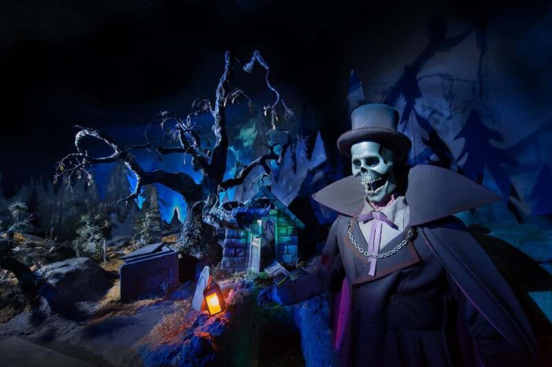 Paris: Disneyland Paris Ticket with Transfer - Pros and Cons Based on Reviews and Features