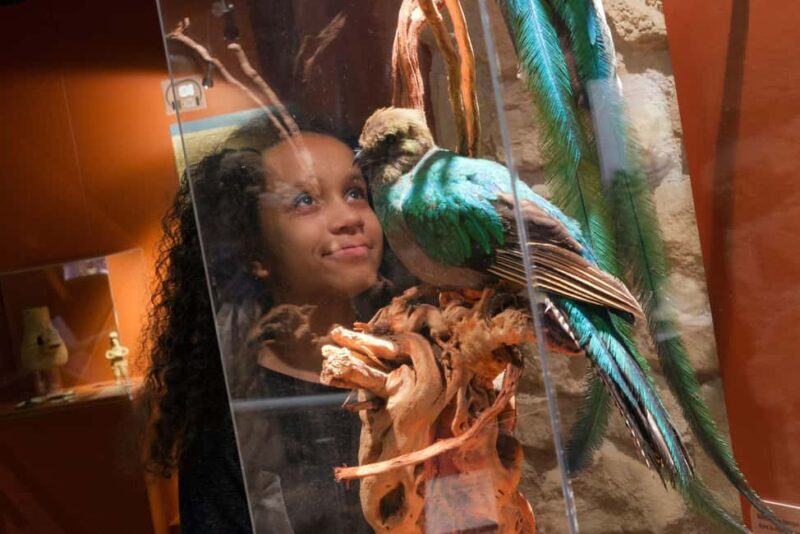 Paris: Entrance Ticket to the Chocolate Museum - The Real Deal: What We’ve Learned from Reviews