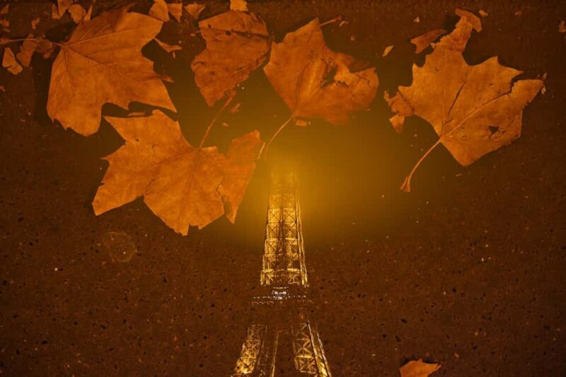 Paris: Experience the magic of Christmas with a pro photographer - Final Thoughts