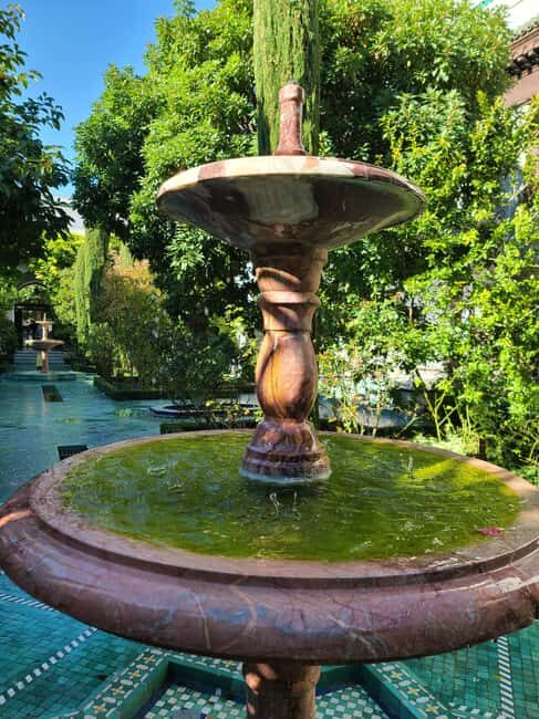 Paris: Guided Tour of the Grand Mosque & Secret Gardens - An Overview of the Tour Experience